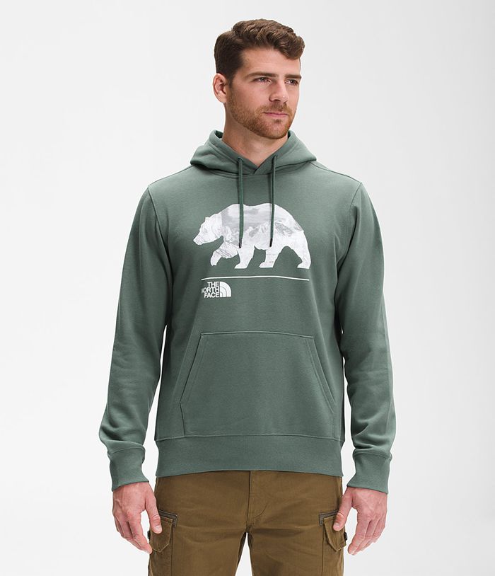 The North Face Mens Hoodie Bearscape Pullover 892WUYVXF - Green